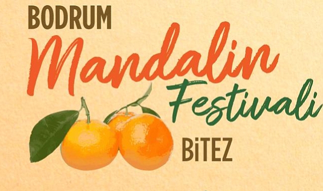 BODRUM MANDALİNA FESTİVALİ BAŞLIYOR
